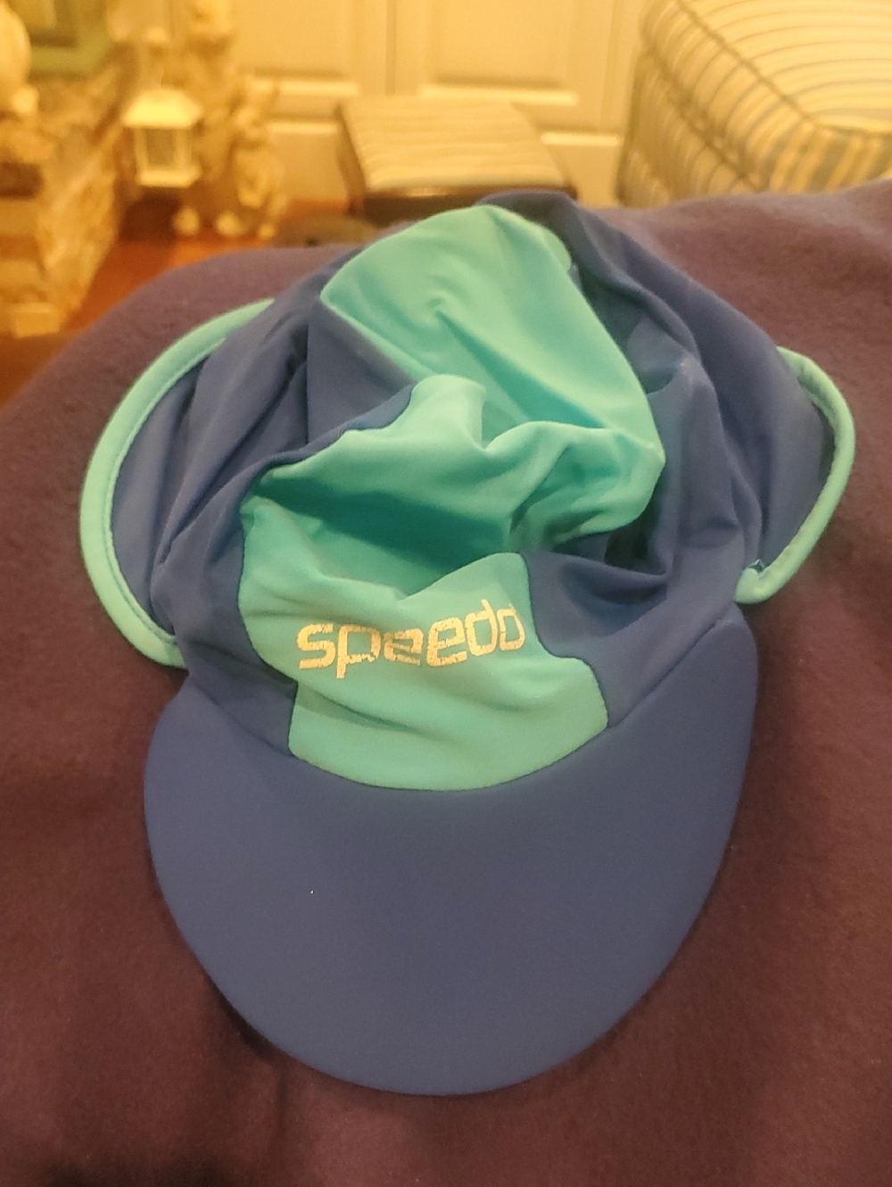 Speedo Aqua and Navy Visor Swim Cap
